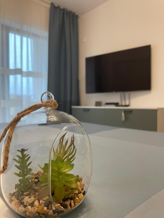 New Studio Piteşti Buitenkant foto